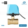 AC DC Service 220V/110V/24V 2 Way Brass Wate Electric Actuator Ball Valve  